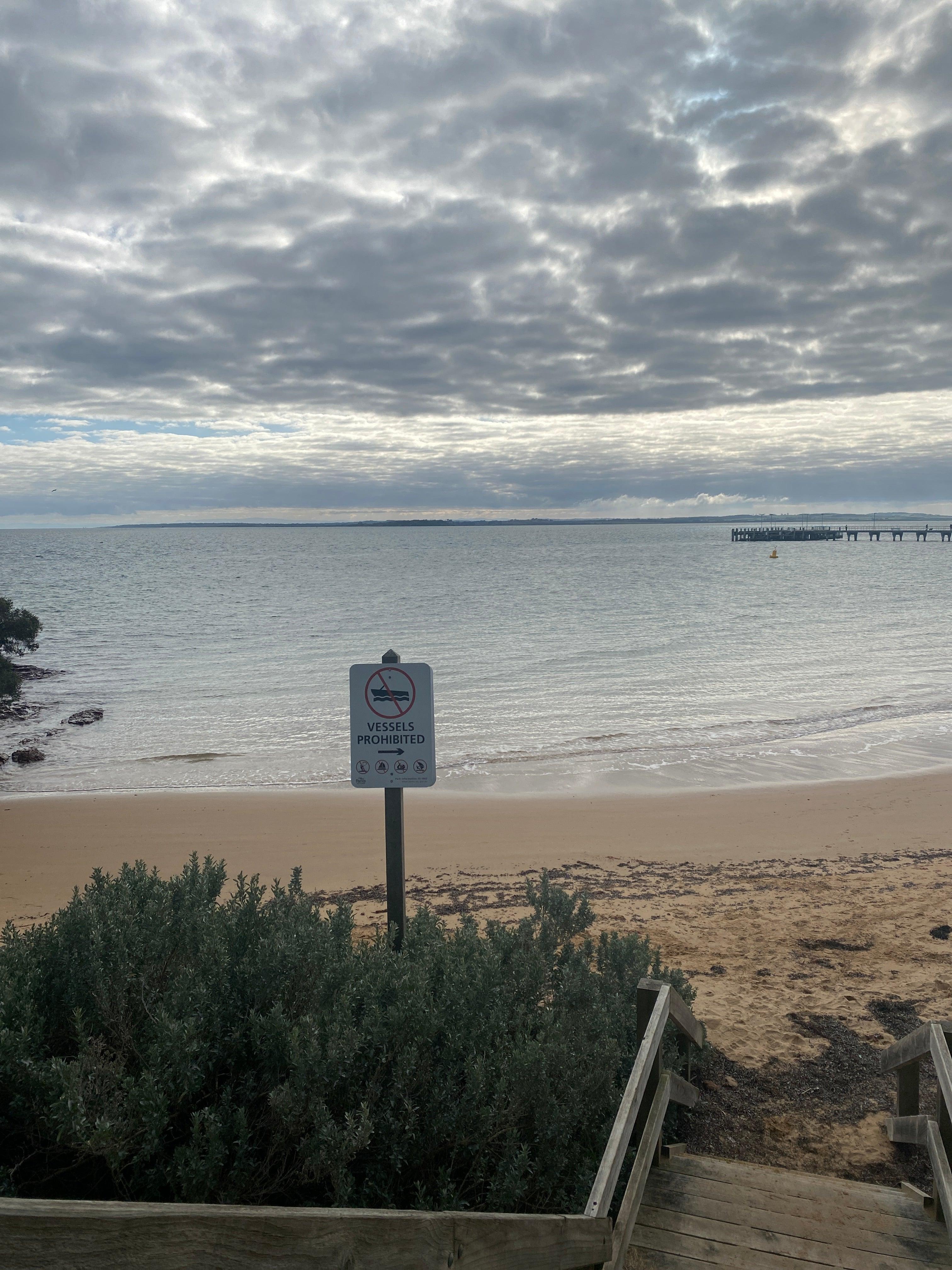 The Magic Behind Marmalade Lion’s 12 Signature AustralianThemed Print