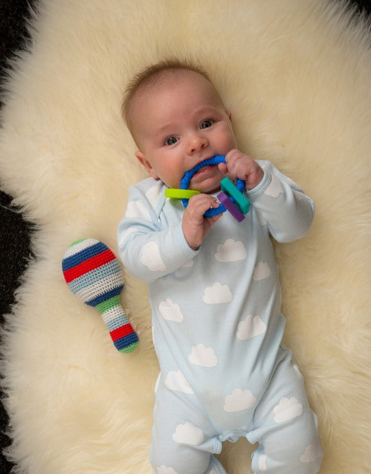 Blue Classic Essentials Baby Bundle - Marmalade Lion