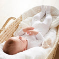 Organic Classic Essentials Baby Bundle - Marmalade Lion