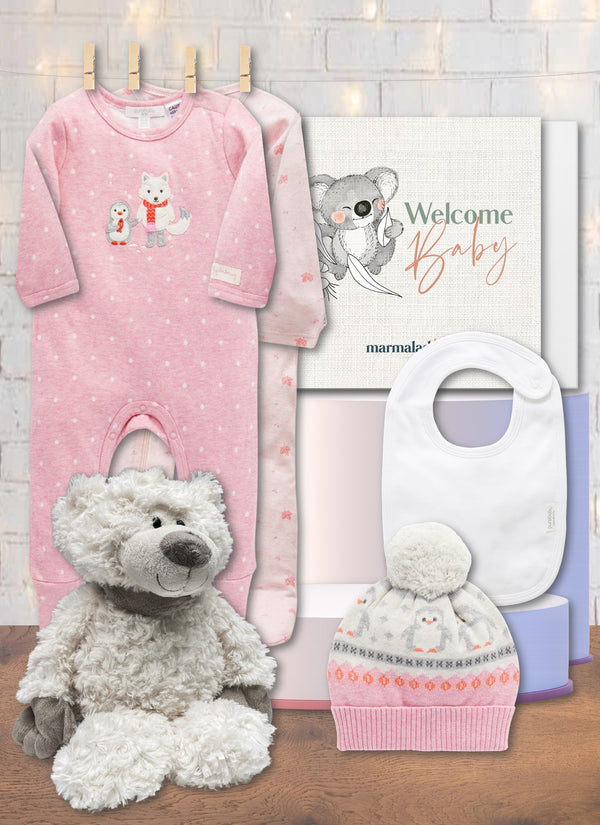 Winter Pink Baby Hamper