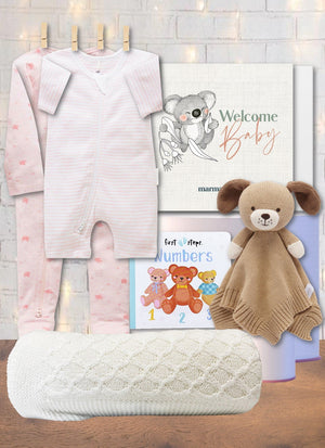 Welcome to the World Baby Girl Hamper - Marmalade Lion