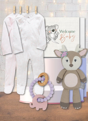 Baby Pink Snuggles & Plush Cuddles Hamper - Marmalade Lion