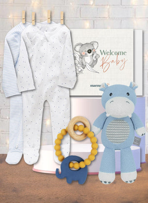 Baby Blue Snuggles & Plush Cuddles Hamper - Marmalade Lion