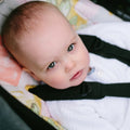 Universal Pram Liner - Modern Native - Marmalade Lion
