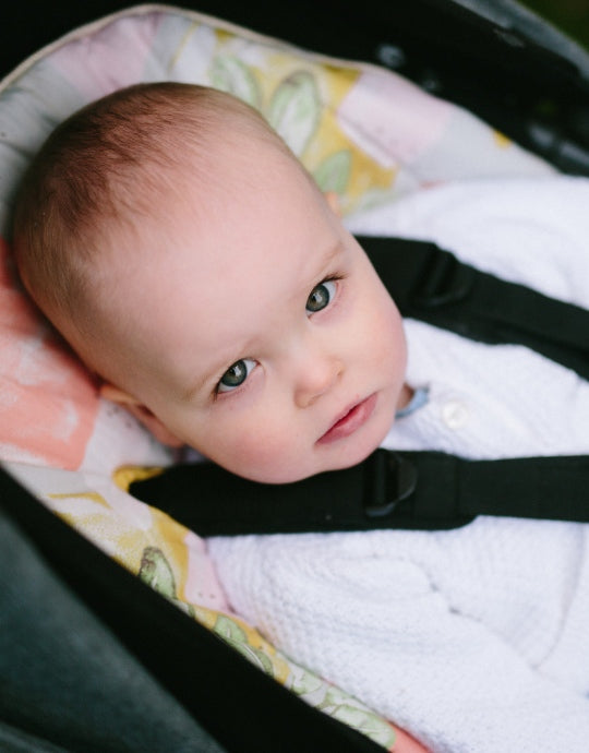 Universal Pram Liner - Modern Native - Marmalade Lion