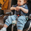 On the Road Again Seat Pad - Marmalade Lion