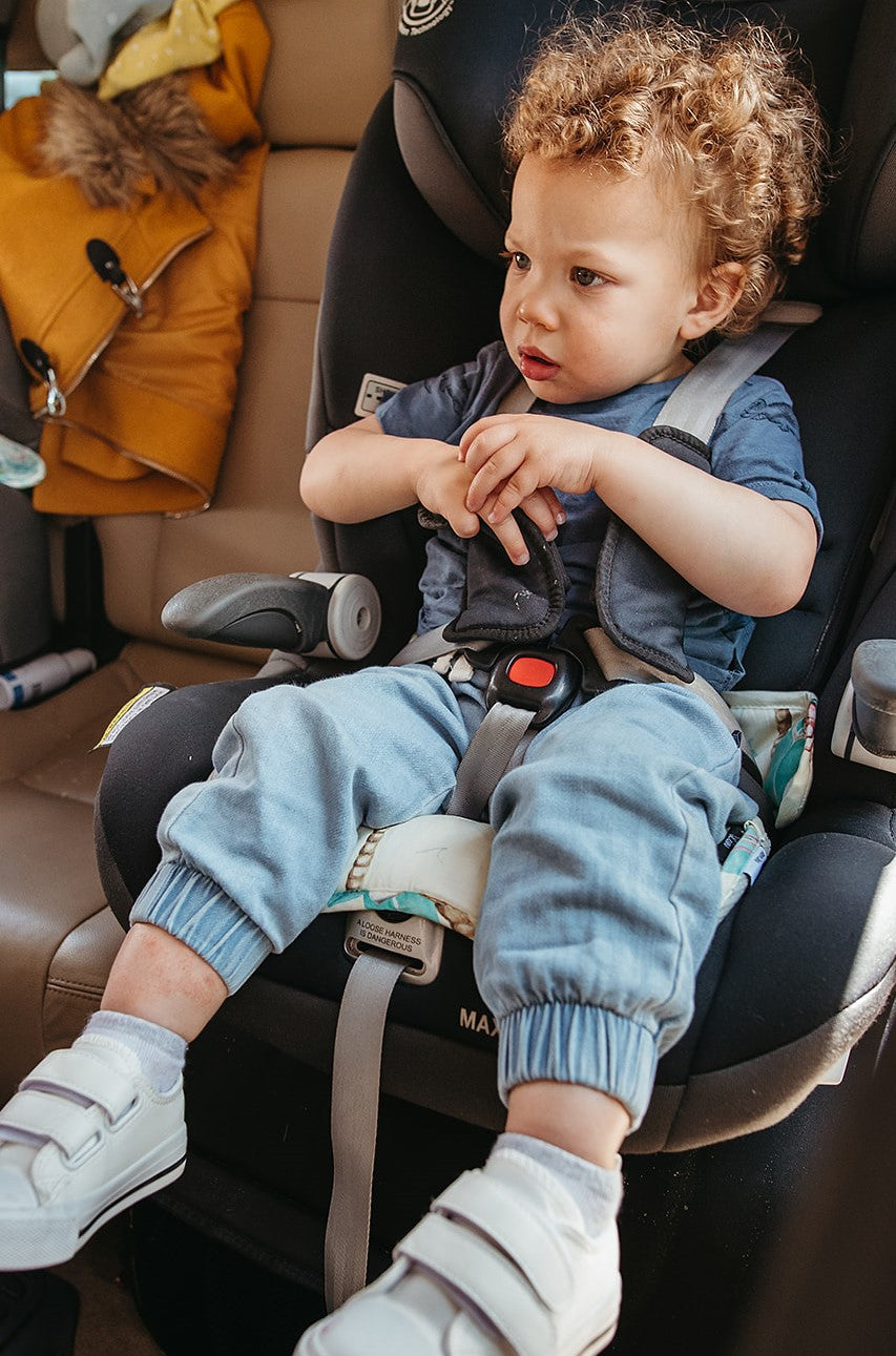 On the Road Again Seat Pad - Marmalade Lion