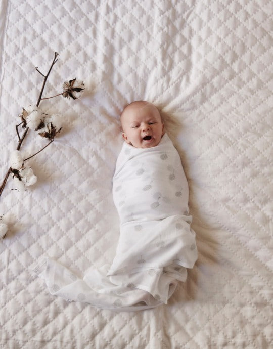 Organic Nap Time Essentials Baby Bundle