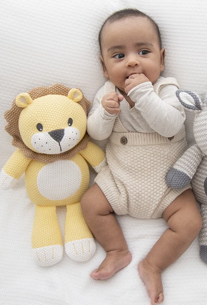 Baby Snuggles & Plush Cuddles Hamper - Marmalade Lion