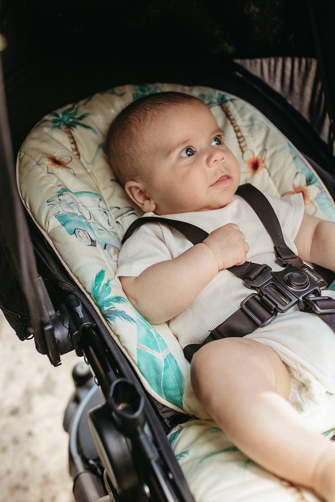 Universal Pram Liner Cover - On the Road Again - Marmalade Lion