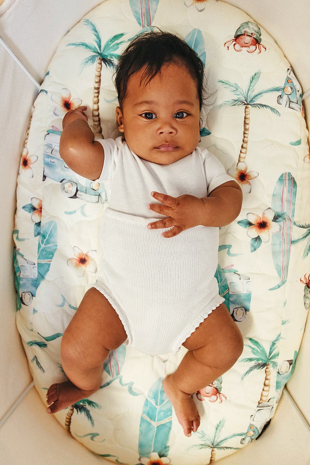 On the Road Again Expect-A-Spill Bassinet Sheet - Marmalade Lion