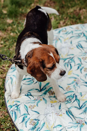 Cockatoo Baby Play Mat - Marmalade Lion