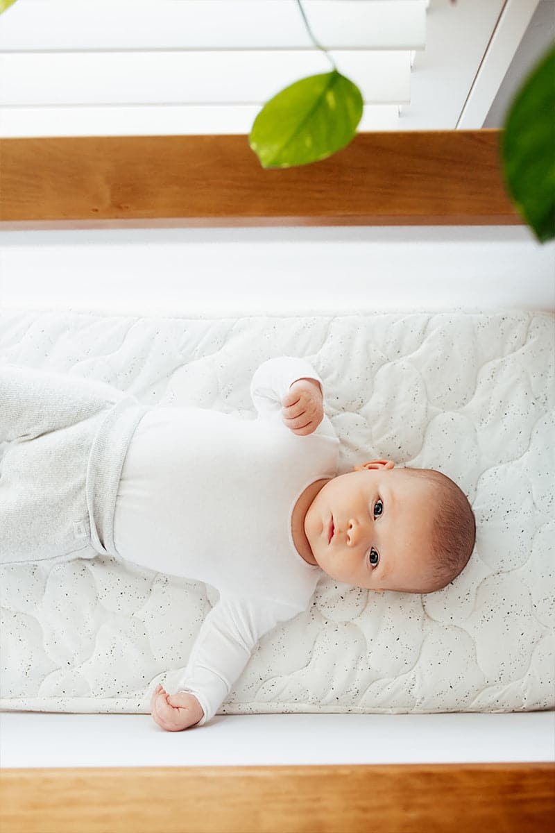 Baby Cot Sheet - Speckled Egg Jersey Expect-A-Spill Sheets - Marmalade Lion
